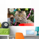 Persian Kitten Sitting Red Wall Decal