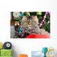 Persian Kitten Sitting Red Wall Decal