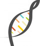 DNA Test Wall Decal