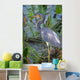 HERON Wall Mural