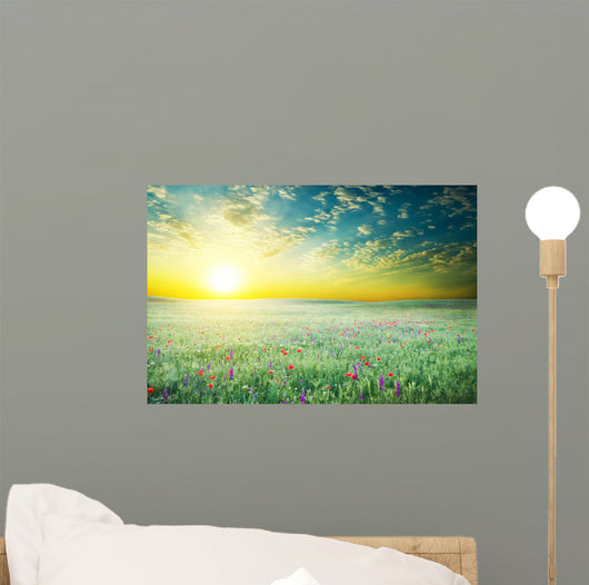 Spring Meadow of Violet Flower 