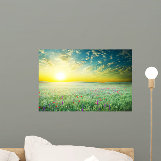 Spring Meadow of Violet Flower 