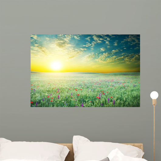 Spring Meadow of Violet Flower 
