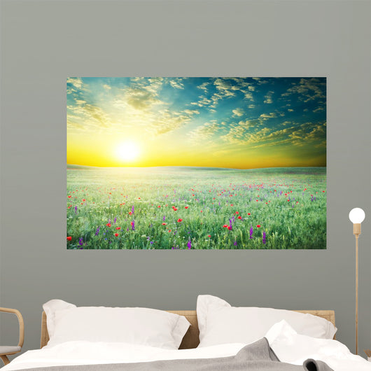 Spring Meadow of Violet Flower 