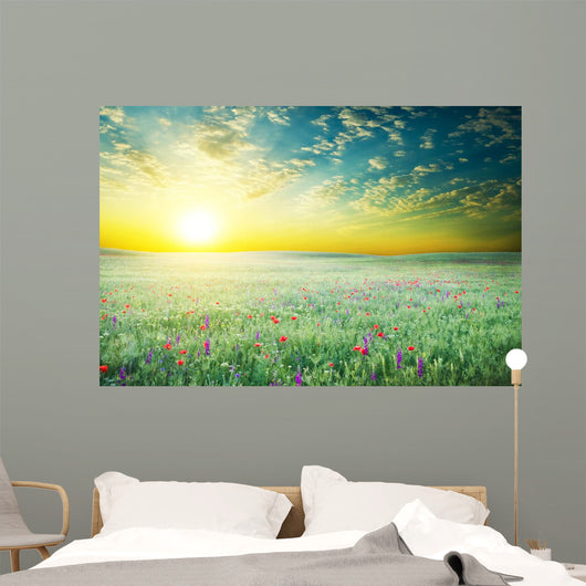 Spring Meadow of Violet Flower 