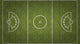 Women's Lacrosse Playing Field Wall Decal