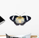 Female of Leopard lacewing butterfly on white background Wall Mural