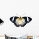 Female of Leopard lacewing butterfly on white background Wall Mural