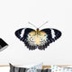 Female of Leopard lacewing butterfly on white background Wall Mural