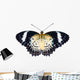 Female of Leopard lacewing butterfly on white background Wall Mural