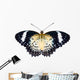 Female of Leopard lacewing butterfly on white background Wall Mural
