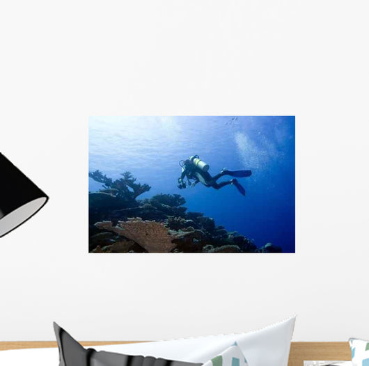 Diver with Camera Deep Wall Decal