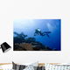 Diver with Camera Deep Wall Decal