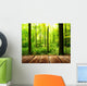 Fresh green forest with sunbeams and wooden floor 