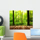 Fresh green forest with sunbeams and wooden floor 