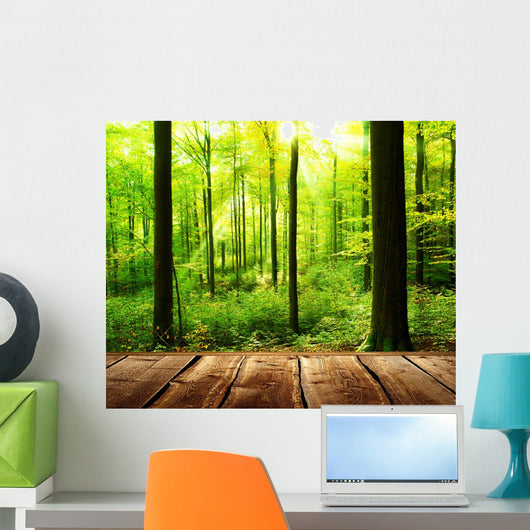 Fresh green forest with sunbeams and wooden floor 