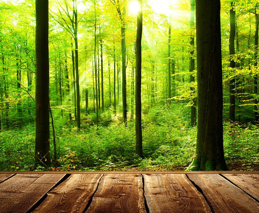 Fresh green forest with sunbeams and wooden floor 