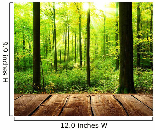 Fresh green forest with sunbeams and wooden floor 