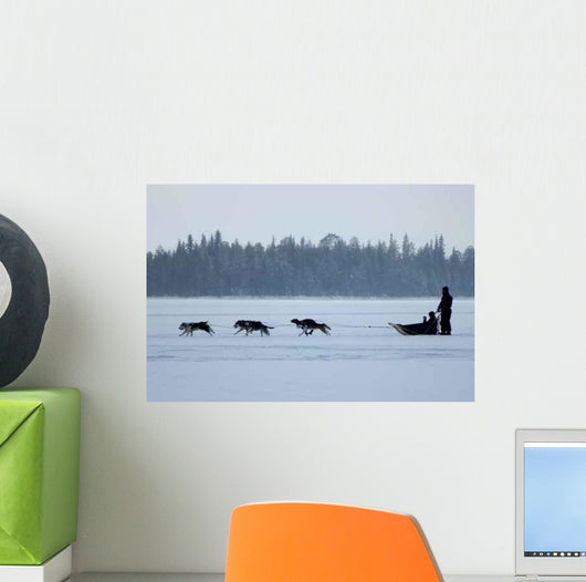 Husky Ride Wall Decal