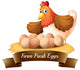 Fresh eggs from the farm Wall Decal