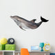 dolphin illustration isolated on white Wall Mural