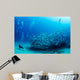 Trevally Baitball 