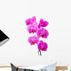 Orchid radiant flower Wall Decal