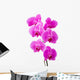 Orchid radiant flower Wall Decal