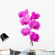 Orchid radiant flower Wall Decal