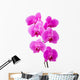 Orchid radiant flower Wall Decal