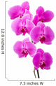 Orchid radiant flower Wall Decal