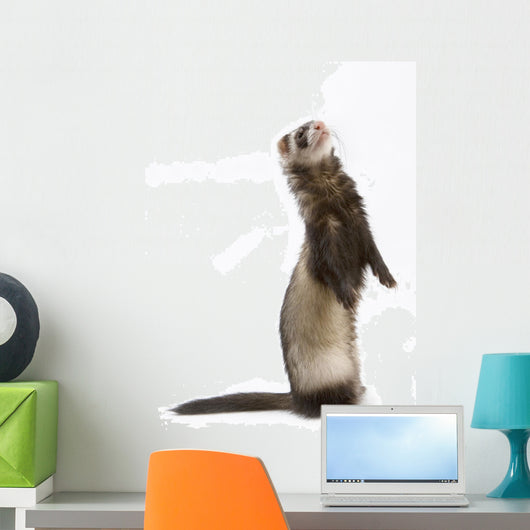 Staying Ferret Wall Decal