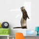 Staying Ferret Wall Decal