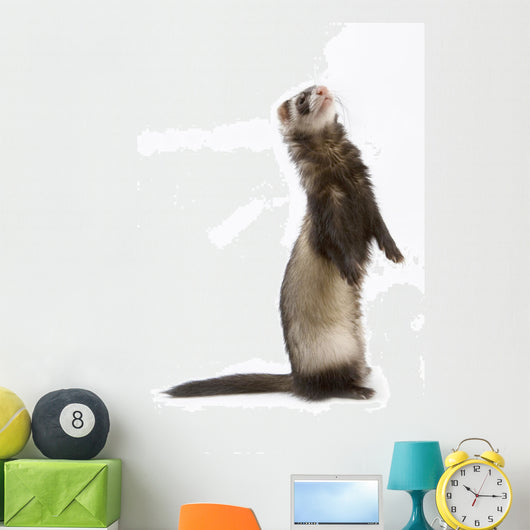 Staying Ferret Wall Decal