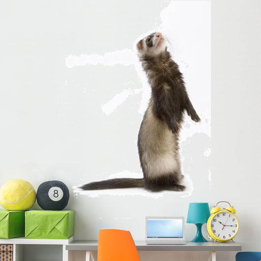 Staying Ferret Wall Decal
