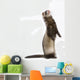 Staying Ferret Wall Decal