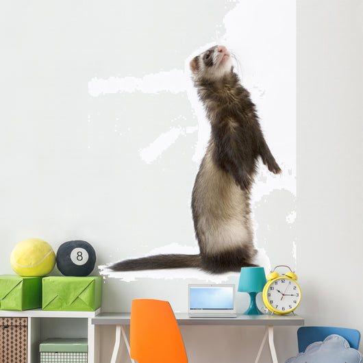 Staying Ferret Wall Decal