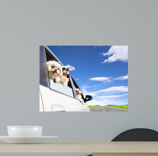 dog's family traveling  in the car 