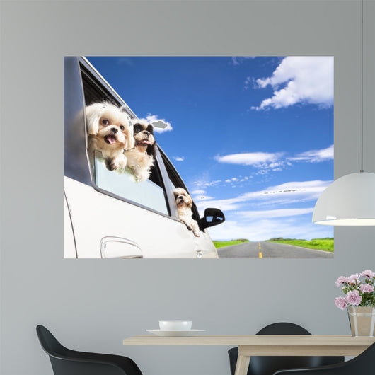 dog's family traveling  in the car 