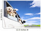 dog's family traveling  in the car 