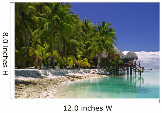 Tropical Dream Beach Paradise Wall Mural