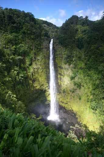 Akaka Falls Big Island Wall Decal