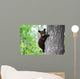 An American Black Bear Cub Clings to the Side of the Tree 