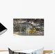Large Saltwater Crocodile Wall Decal