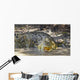 Large Saltwater Crocodile Wall Decal