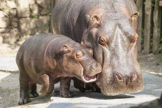 Mother and son 