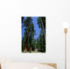 Big Sequoias in Yosemite National Park Wall Mural