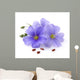 Flax flowers with seeds 