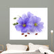 Flax flowers with seeds 