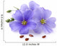 Flax flowers with seeds 
